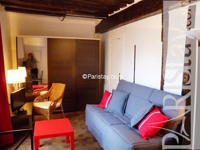 Studio Terrace Short Term Rental Latin Quarter Paris Quartier Living Room
