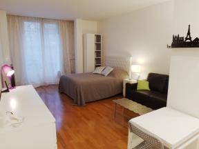 Apartment Pierre 1er de Serbie Studio - studio