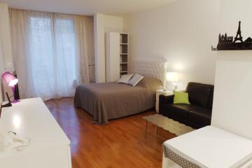 studio of Pierre 1er de Serbie Studio Paris apartments Champs Elysees