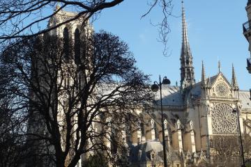 Appartement Notre Dame bright 1BR