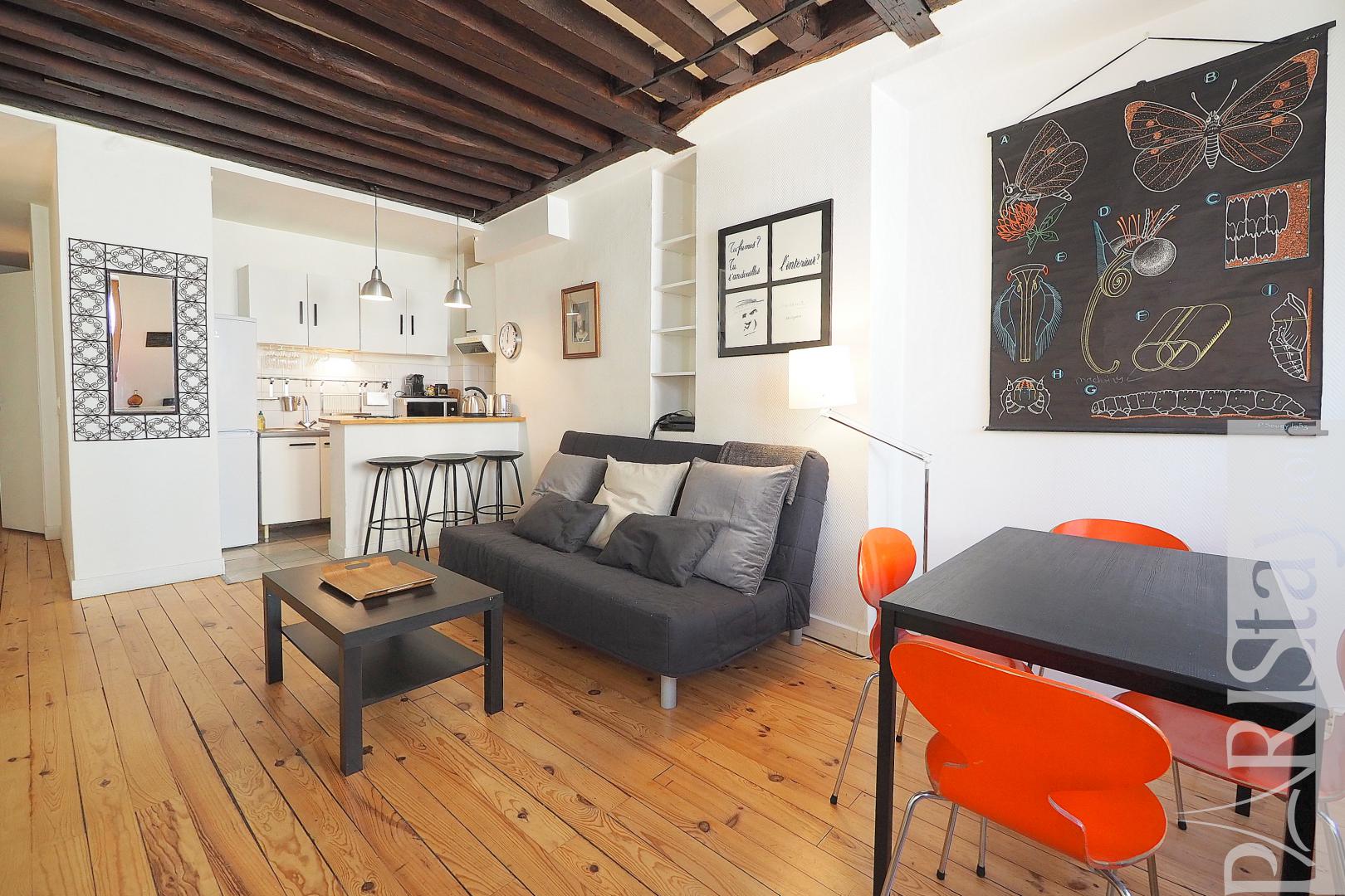 Apartment Rental Paris Latin Quarter One Bedroom 75005 Saint Michel Living Room