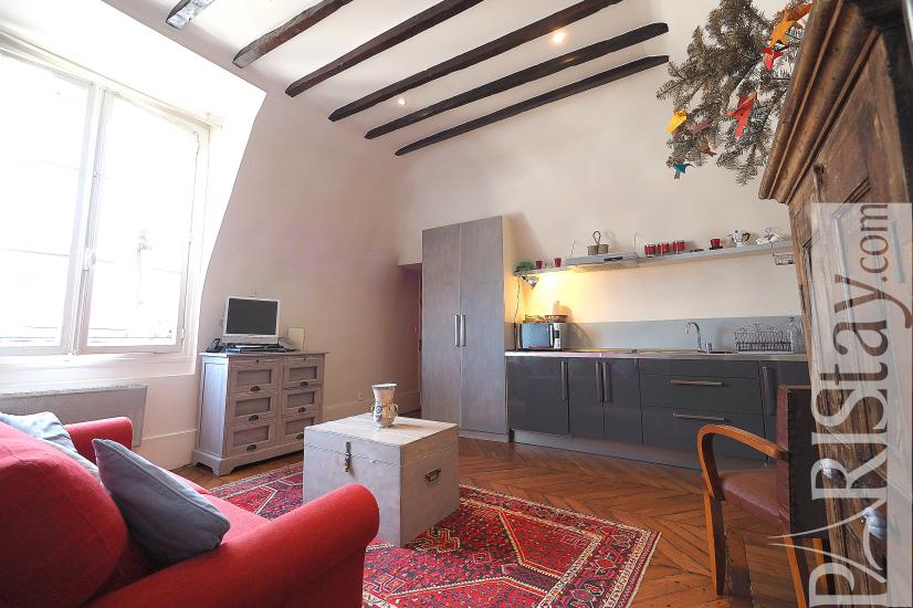 Paris apartment for rent one bedroom apartment rental