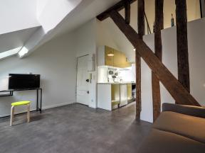 Apartment Marais maestro - studio