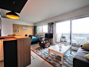 Apartment Vaugirard terrace - studio