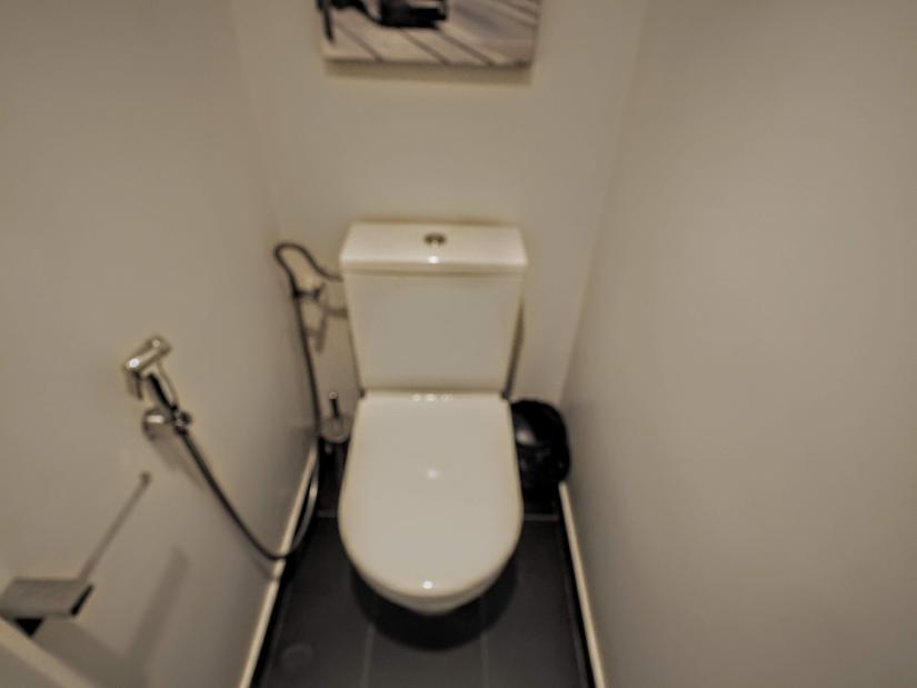 Separate toilet