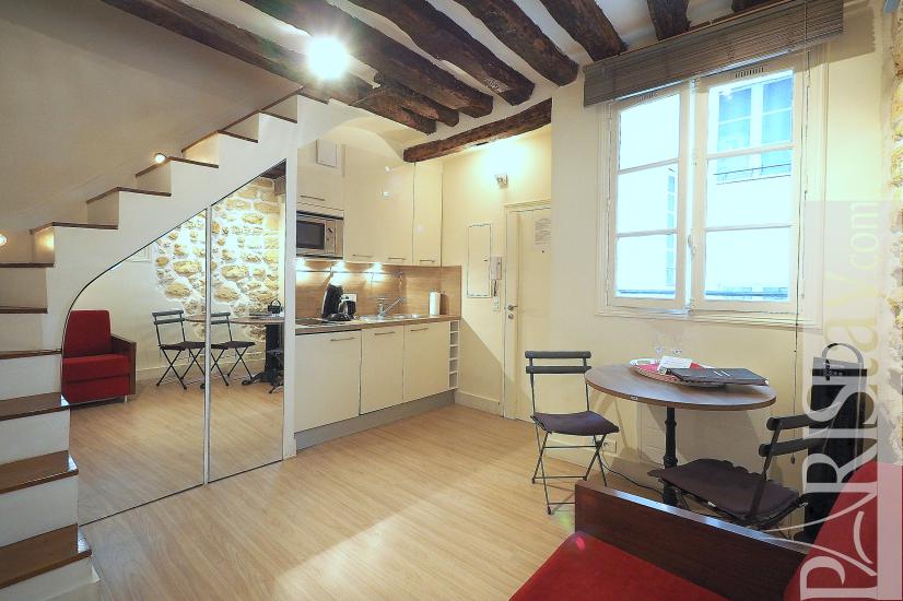 one bedroom apartment in paris, 1 bedroom rentals paris.